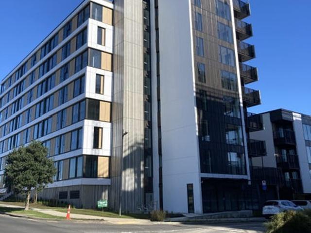 albany, 1 bedroom