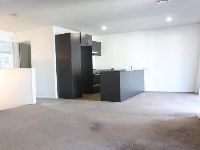 albany, 1 bedroom