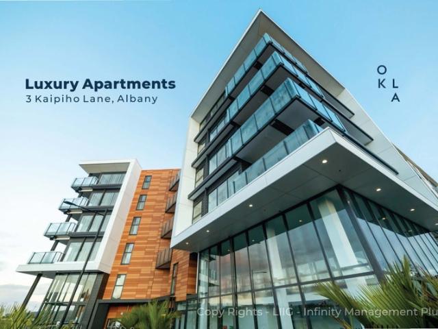 albany, 1 bedroom