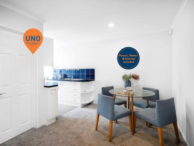albany, 1 bedroom