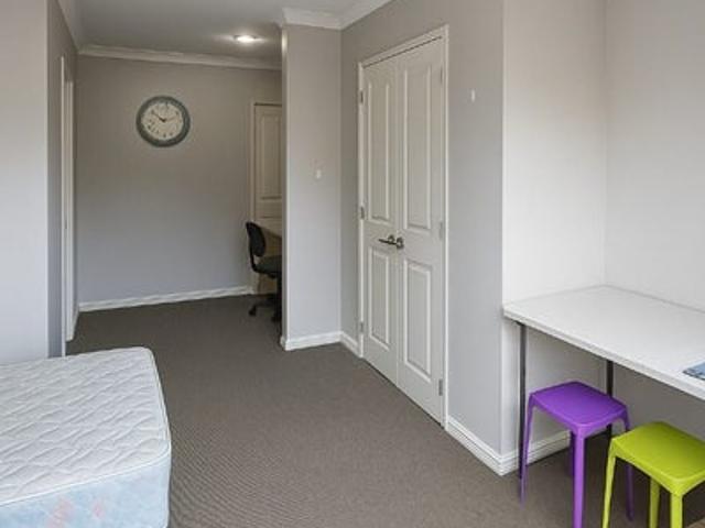 albany, 1 bedroom