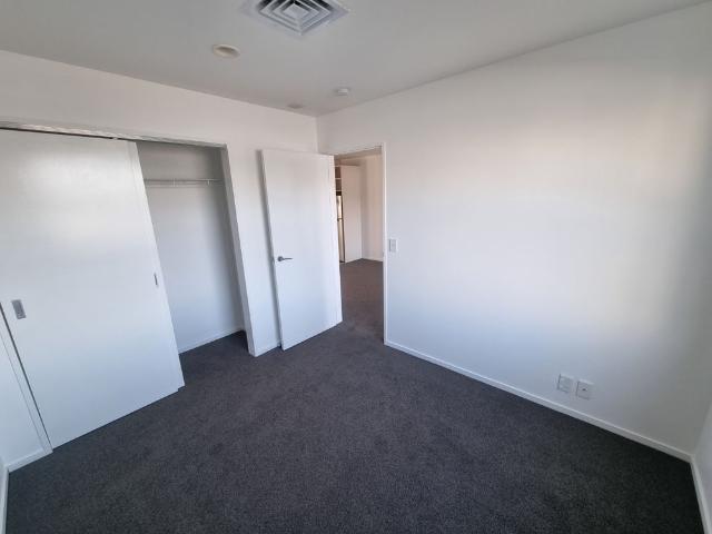 Albany modern apartment fantastic location