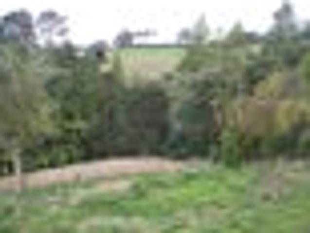 Albany, Studio, $410 pw