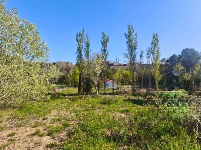 Albas Vente Terrain 11