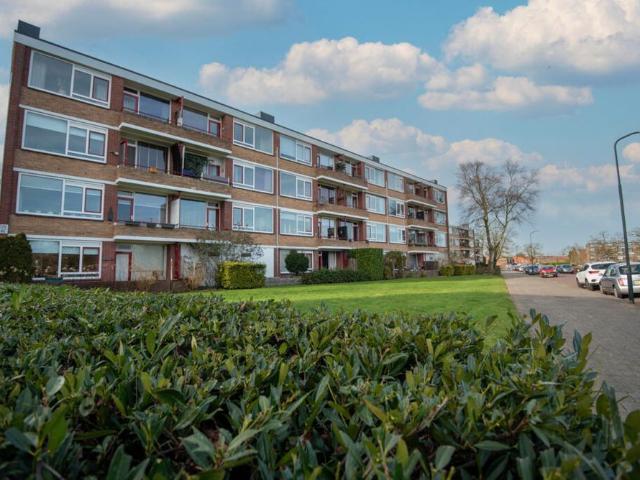 Albardastraat 98, 7331LJ, Apeldoorn, Gelderland 7331LJ
