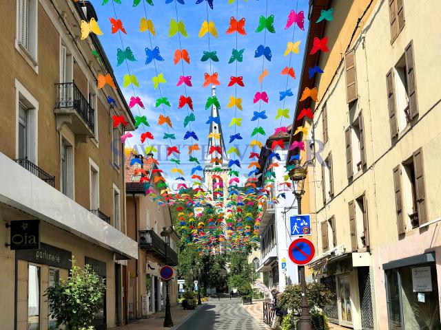 Albertville centre. T4 traversant, 2 balcons. Viager