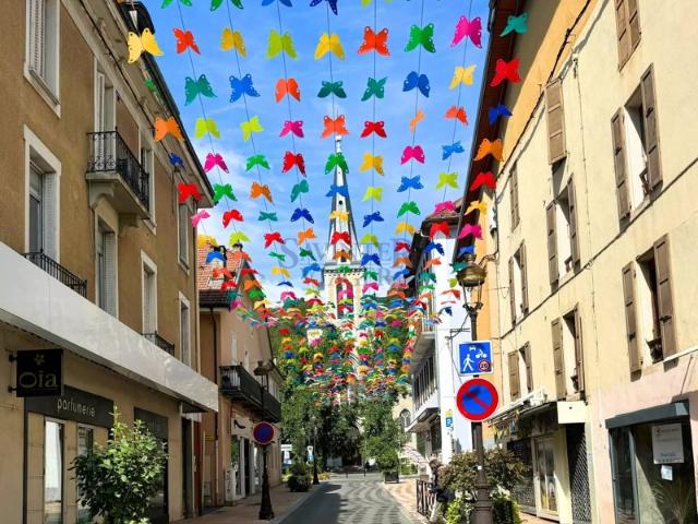 Albertville centre. T4 traversant, 2 balcons. Viager