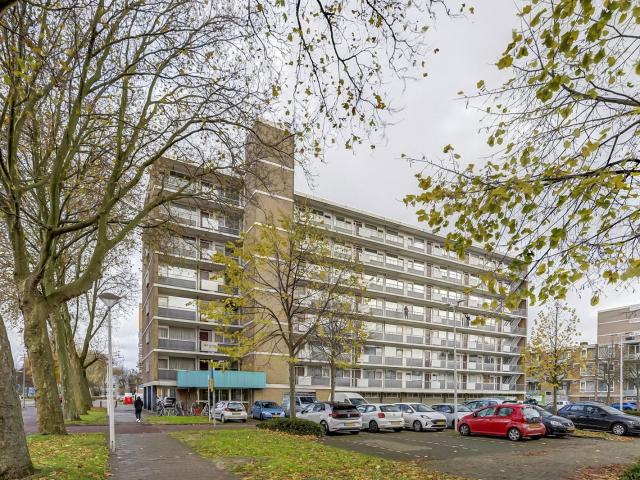 Albert van Raalteplein 132, 3122GN, Schiedam, Zuid Holland 3122GN