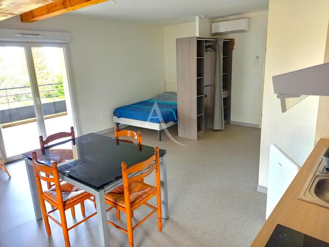 Albi Location Appartement 81
