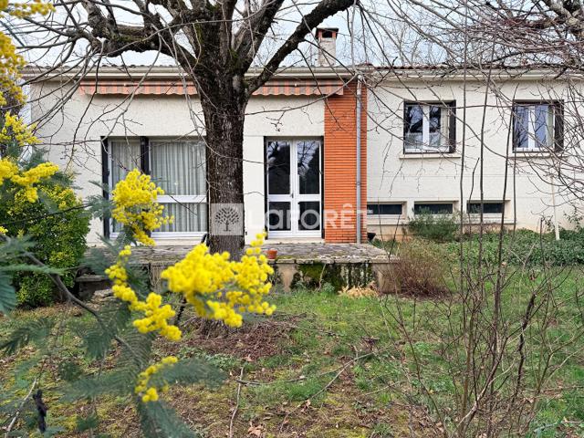 Albi Vente Maison 81