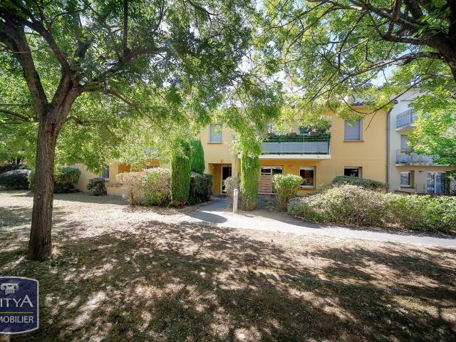 Albi Vente Appartement 81