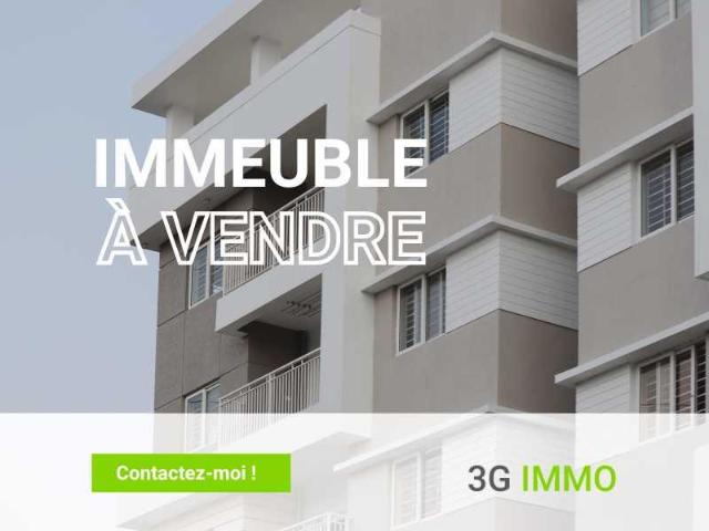 Albi Vente Immeuble 81