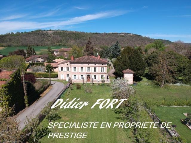 Albi Vente Propriété/château 81