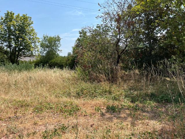 Albi Vente Terrain 81
