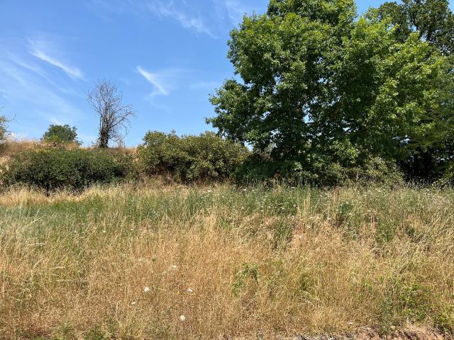 Albi Vente Terrain 81