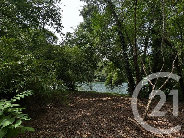 Albi Vente Terrain 81