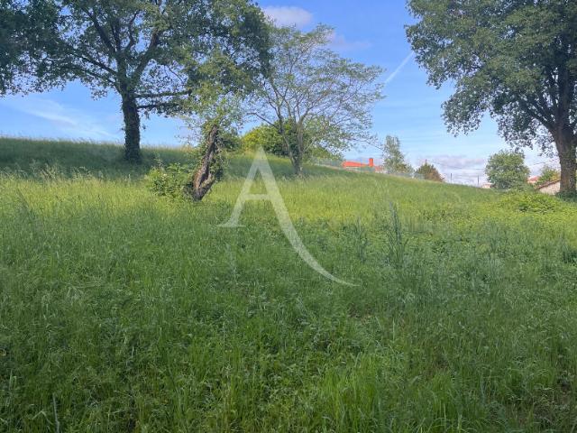 Albi Vente Terrain 81