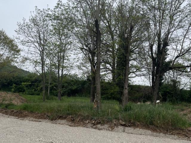 Albi Vente Terrain 81
