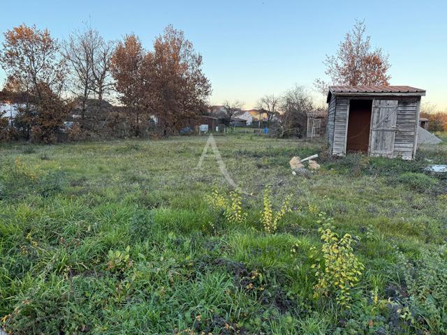 Albi Vente Terrain 81