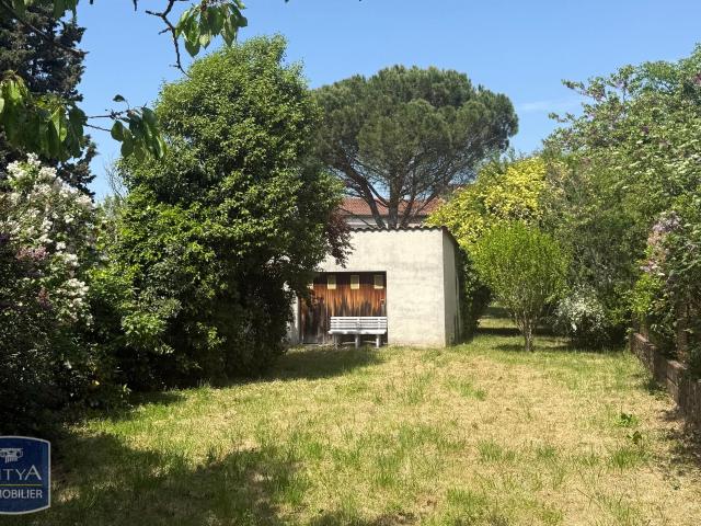 Albi Vente Terrain 81