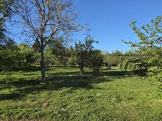 Alboussière 07440 Achat / Vente terrain