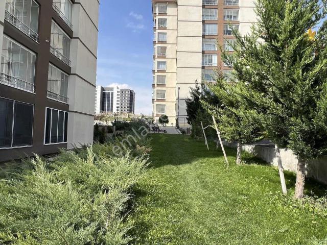 Alcı Asilkent'te Kiralık