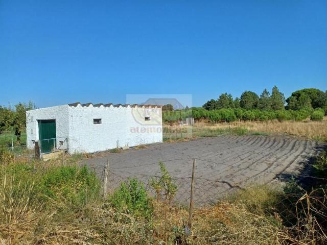 Alcácer do Sal Alcácer do Sal 90372609
