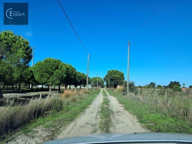Alcácer do Sal Alcácer do Sal 98678461