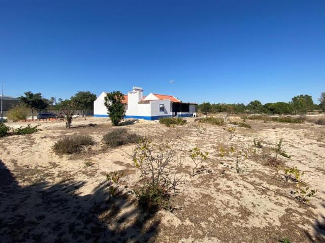 Alcácer do Sal Setúbal LS94949537