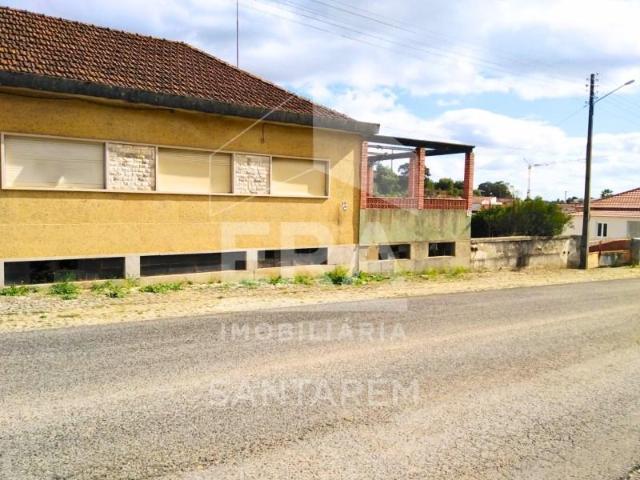 Alcanena Alcanena 96463102