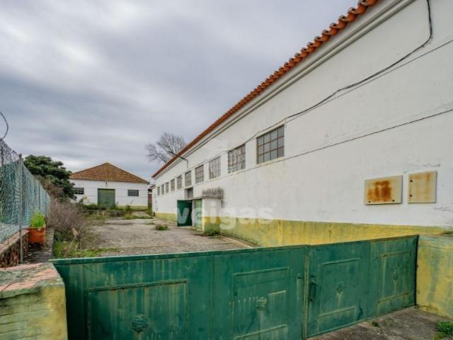 Alcanena Alcanena 102966241