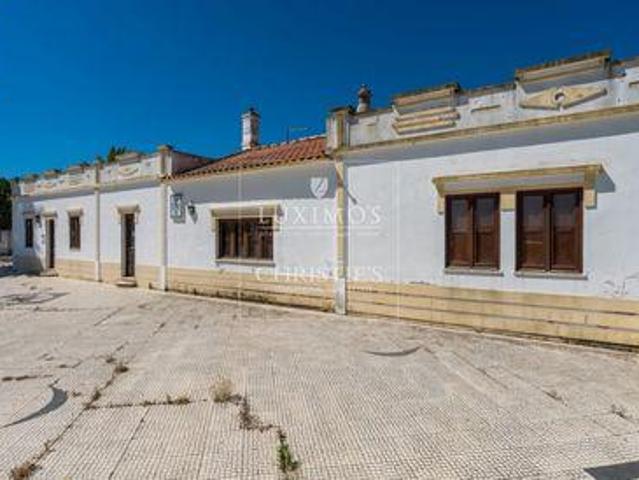 Alcantarilha e Pêra FARO LS96314631