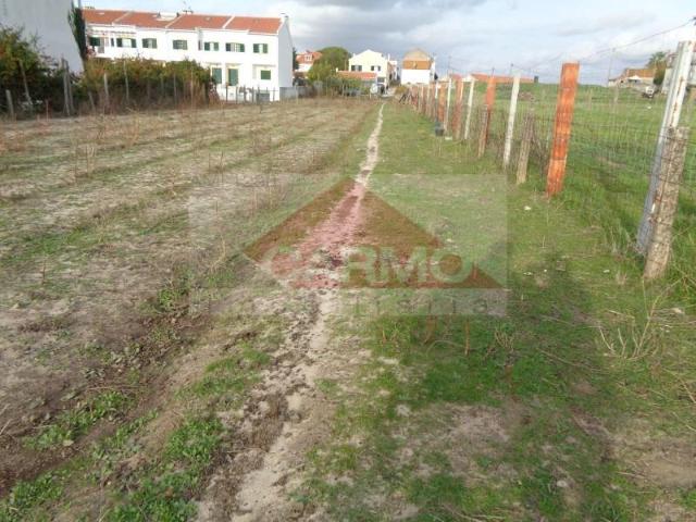 Alcochete Alcochete 104582403