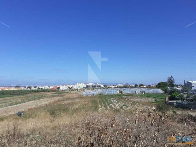 Alcochete Quinta com 11 ha | 26083423859