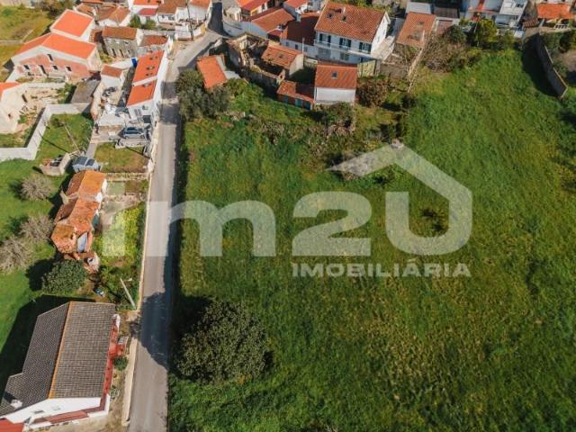 Alcobaça Alcobaça 104295339