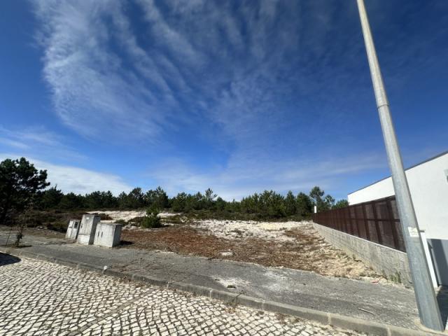 Alcobaça Alcobaça 2445 431 88468359