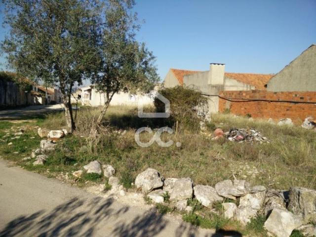 Alcobaça Leiria 70842536