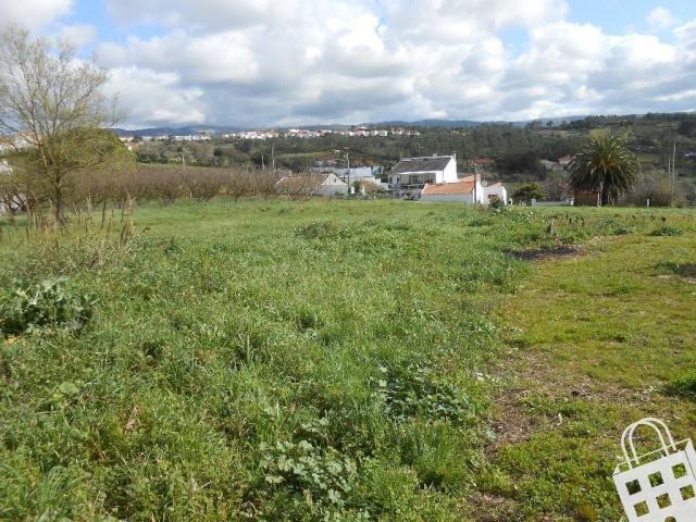 Alcobaça Leiria 70842568