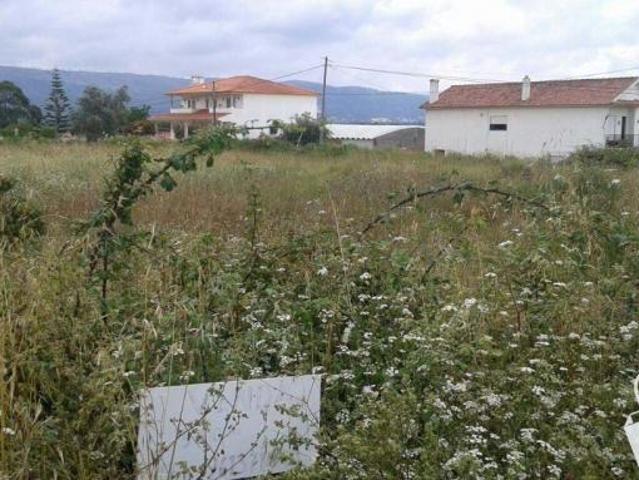 Alcobaça Leiria 70842581