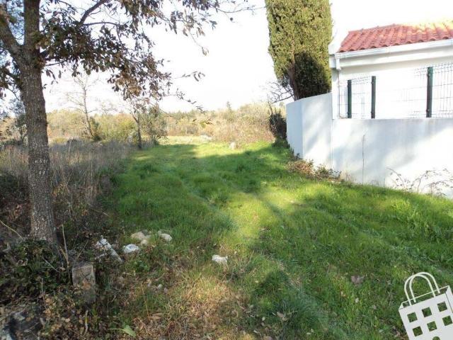 Alcobaça Leiria 70842598