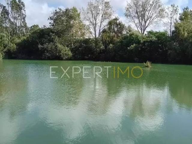 Alcobaça Leiria 91598538