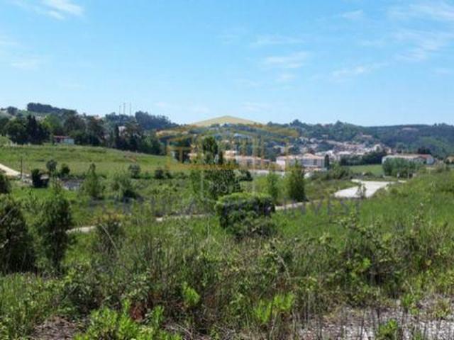 Alcobaça Leiria 96315728