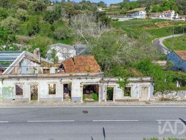 Alcobaca Leiria LS100264665