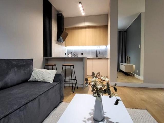 Aleja Wojciecha Korfantego 42,32 m², Katowice