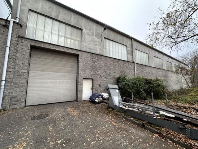 Aleja Bohaterów Monte Cassino 800 m², Częstochowa