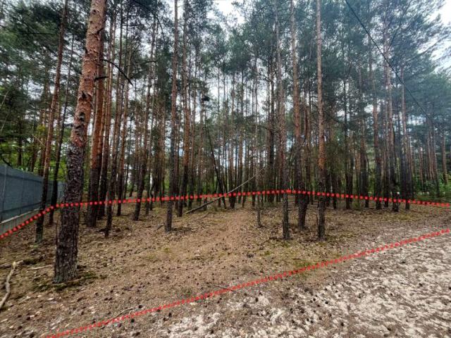 Aleja Bluesa 1 052 m², Józefów