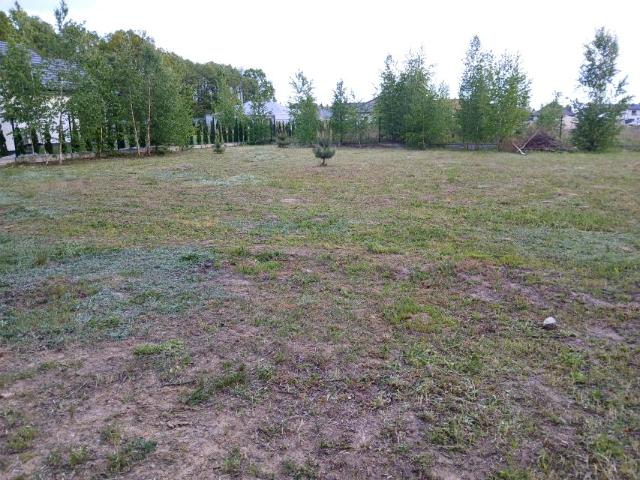 Aleja Grabowa 950 m², Grądy