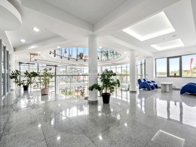 Aleja Krakowska 350 m², Mroków