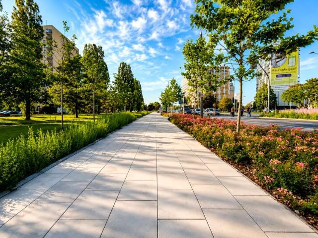 Aleja Niepodległości 45 m², Warszawa