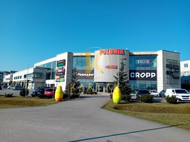 Aleja Solidarności 411 m², Śrem